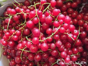 Frische Johannisbeeren